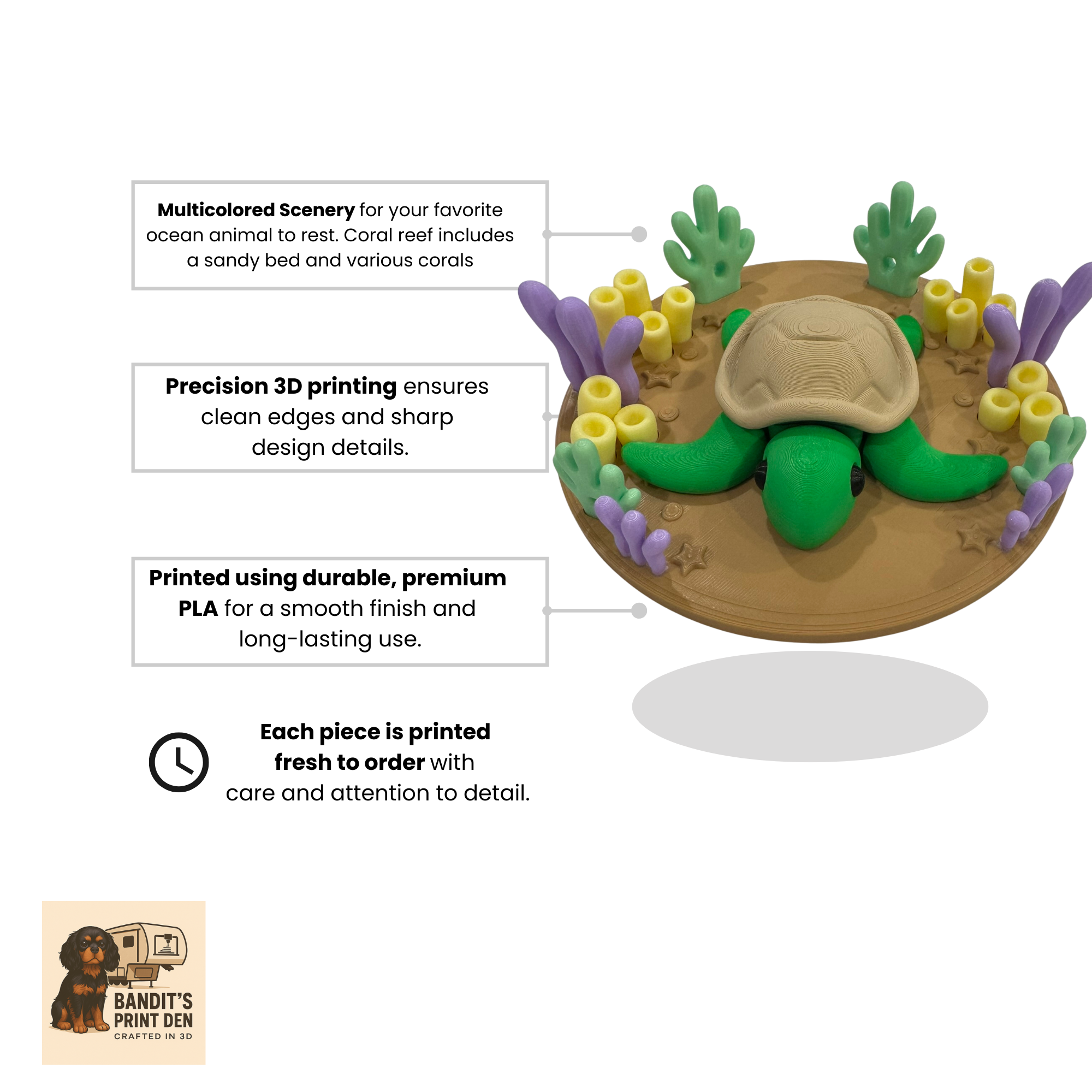 Coral Reef Critter Display Set – 3D Printed Ocean Scene & Articulated Sea Animals