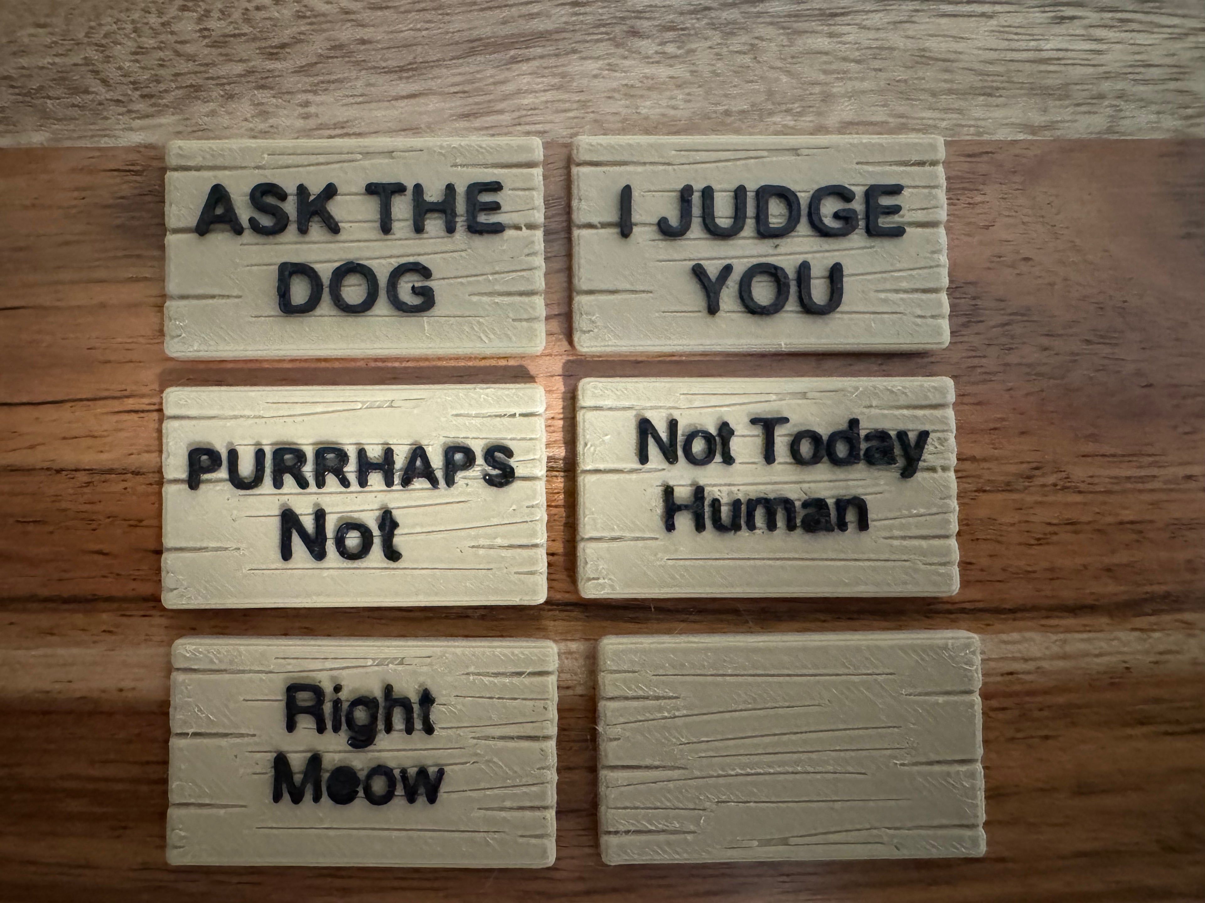 AWA Cat - Funny Cat Desk Buddy | Animals with Attitude | 3D Printed Cat with Interchangeable Sign