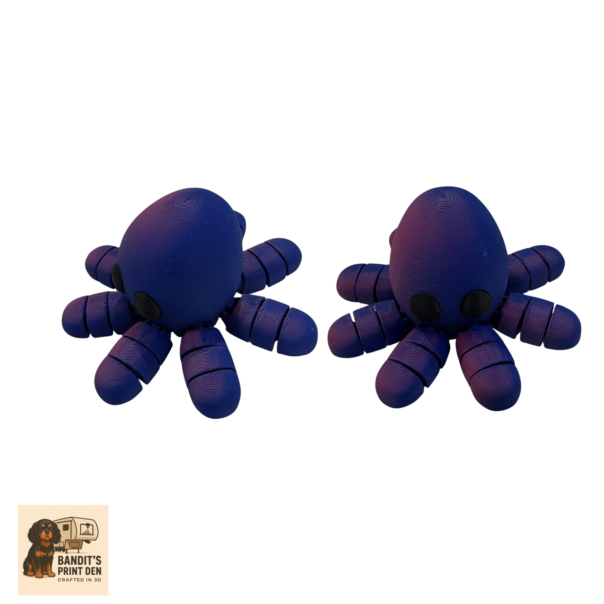 Coral Reef Critter Display Set – 3D Printed Ocean Scene & Articulated Sea Animals