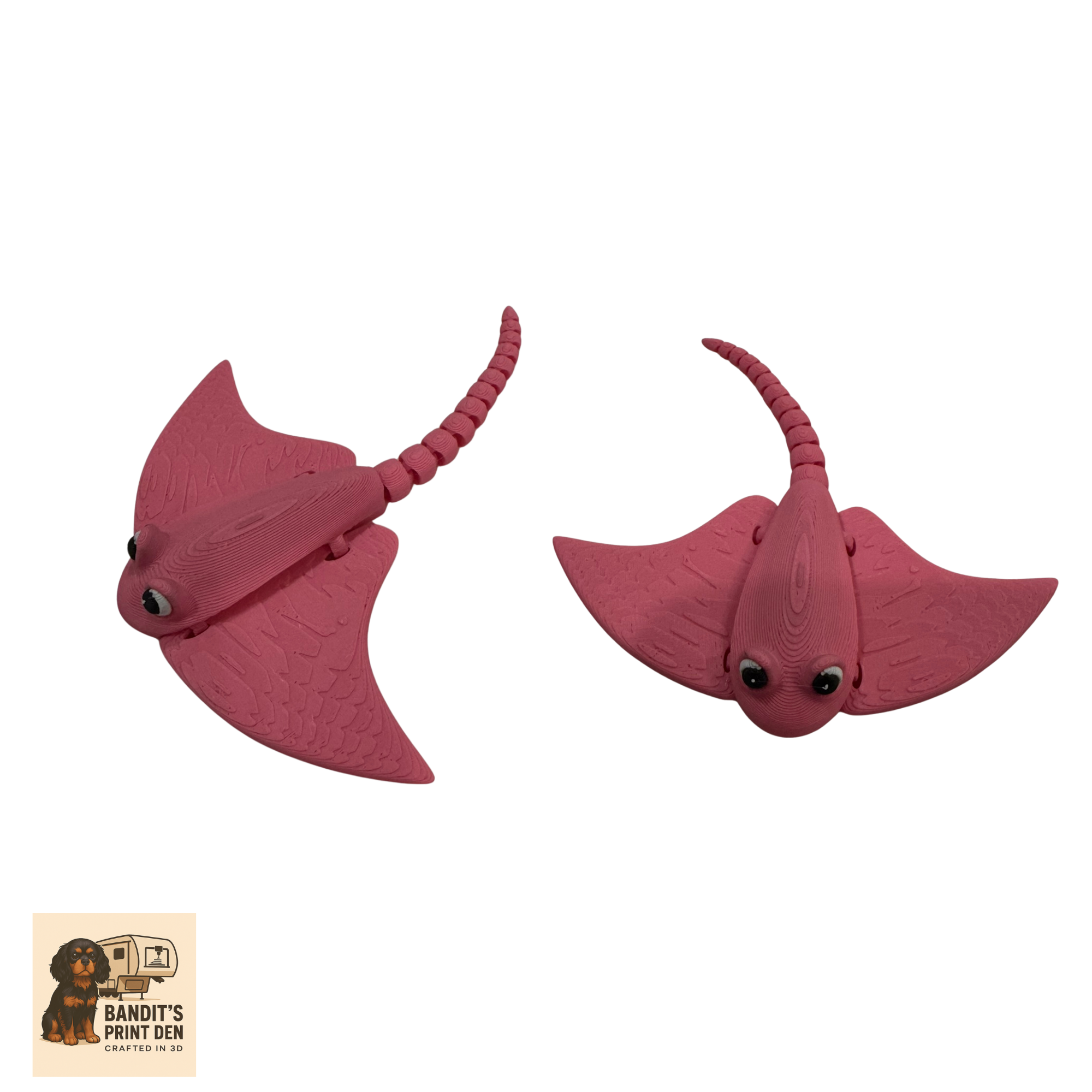 Coral Reef Critter Display Set – 3D Printed Ocean Scene & Articulated Sea Animals