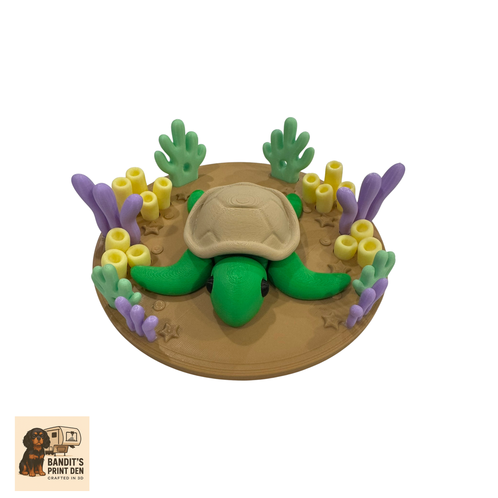 Coral Reef Critter Display Set – 3D Printed Ocean Scene & Articulated Sea Animals